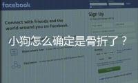 小狗怎么確定是骨折了？小狗怎么確定是骨折還是骨折