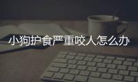 小狗護食嚴重咬人怎么辦?。抗饭纷o食咬人要打針嗎
