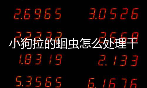 小狗拉的蛔蟲怎么處理干凈？小狗拉的蛔蟲怎么處理好