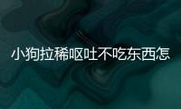 小狗拉稀嘔吐不吃東西怎么辦(小狗拉稀不吃東西沒精神)