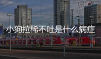 小狗拉稀不吐是什么病癥？小狗拉稀不吐怎么回事