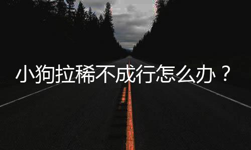 小狗拉稀不成行怎么辦？小狗拉稀總不好