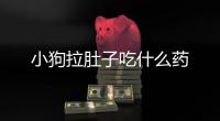 小狗拉肚子吃什么藥