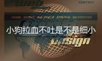 小狗拉血不吐是不是細(xì)小(小狗拉血不吐精神很好)