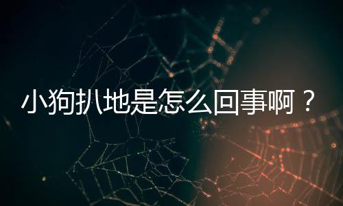 小狗扒地是怎么回事啊？小狗扒地是怎么回事兒