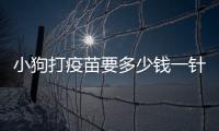 小狗打疫苗要多少錢一針(小狗的疫苗本丟了怎么辦)