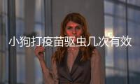 小狗打疫苗驅(qū)蟲幾次有效？小狗驅(qū)蟲打疫苗間隔幾天