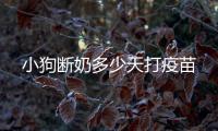 小狗斷奶多少天打疫苗