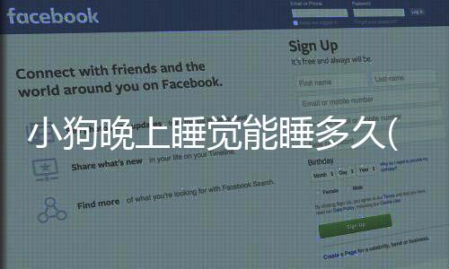 小狗晚上睡覺能睡多久(小狗晚上睡覺喘氣急促)