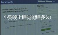 小狗晚上睡覺能睡多久(小狗晚上睡覺喘氣急促)