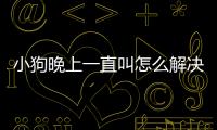 小狗晚上一直叫怎么解決(小狗突然晚上不睡覺一直叫)