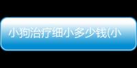 小狗治療細(xì)小多少錢(小狗得細(xì)小大概要多少錢)