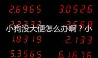 小狗沒大便怎么辦啊？小狗沒大便怎么回事