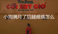 小狗滿月了后腿癱瘓怎么辦？剛滿月的小狗后腿癱瘓如何處理