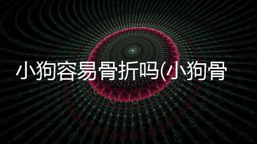 小狗容易骨折嗎(小狗骨折怎么接)