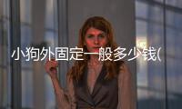 小狗外固定一般多少錢(小狗外固定多少天可以拆)