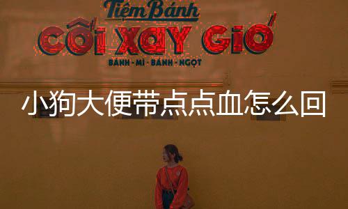 小狗大便帶點點血怎么回事？小狗大便有一點點血絲