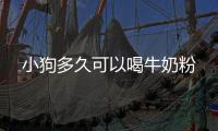 小狗多久可以喝牛奶粉