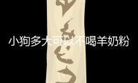 小狗多大可以不喝羊奶粉了(小狗多大不喝羊奶粉)