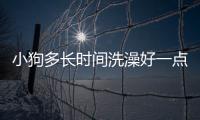 小狗多長時間洗澡好一點(小狗多長時間洗澡最好)