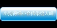 小狗得細(xì)小會(huì)傳染給人嗎(小狗得細(xì)小會(huì)傳染給成年狗嗎)