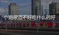 小狗尿道不好吃什么藥好？小狗尿道堵塞的處理方法