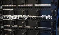 小狗尾巴像什么一年級(小狗咬尾巴什么意思)