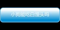 小狗能吃白饅頭嗎