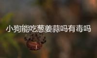 小狗能吃蔥姜蒜嗎有毒嗎(小狗可以吃蔥姜蒜嗎)