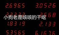 小狗老是咳咳的干嘔  小狗狗老是咳嗽