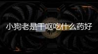 小狗老是干嘔吃什么藥好呢？狗狗老是干嘔吃什么藥