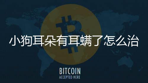 小狗耳朵有耳螨了怎么治療(小狗耳朵里面有膿水怎么弄)