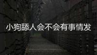 小狗舔人會(huì)不會(huì)有事情發(fā)生  小狗舔人會(huì)咬人嗎