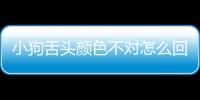 小狗舌頭顏色不對怎么回事？狗狗舌頭顏色不一樣