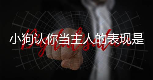 小狗認你當主人的表現是什么？小狗認你做主人的表現