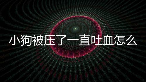 小狗被壓了一直吐血怎么辦？狗被壓了一下吐血會(huì)死嗎