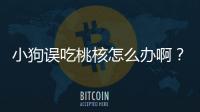 小狗誤吃桃核怎么辦啊？小狗不小心吃了桃核怎么辦