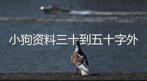 小狗資料三十到五十字外貌？ 有關(guān)小狗的資料