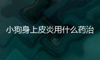 小狗身上皮炎用什么藥治(小狗得了皮膚病用什么藥好)