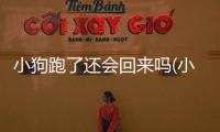 小狗跑了還會(huì)回來(lái)嗎(小狗在兩人中間跑的路程問(wèn)題)