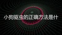小狗驅蟲的正確方法是什么(小狗驅蟲多少錢一次)
