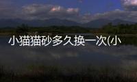 小貓貓砂多久換一次(小貓貓砂怎么教)