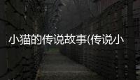 小貓的傳說故事(傳說小貓是7個小娘子)
