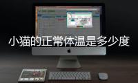 小貓的正常體溫是多少度(小貓的正常體溫是39.8)