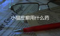 小貓皮癬用什么藥