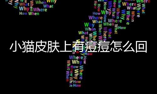 小貓皮膚上有痘痘怎么回事？小貓皮膚上有痘痘怎么辦