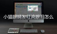 小貓眼睛發紅流眼淚怎么回事(小貓眼屎發紅怎么回事)