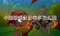 小貓眼睛分泌物多怎么回事(小貓眼睛紅腫分泌物多)