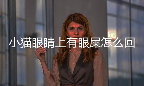 小貓眼睛上有眼屎怎么回事(小貓眼睛有淚痕是怎么回事)