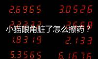 小貓眼角臟了怎么擦藥？小貓眼角很臟
